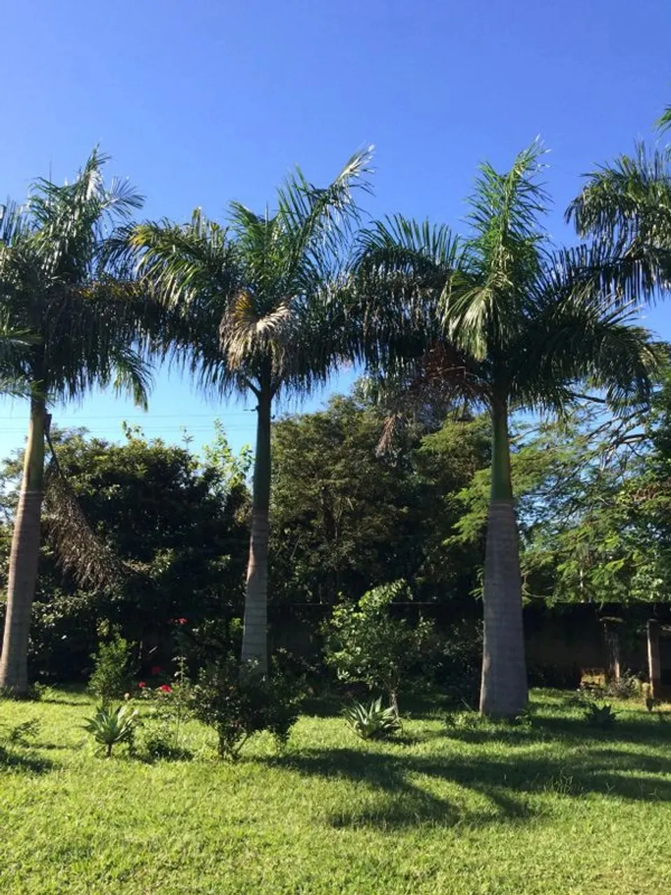 Imagem Chácara à venda em Araçoiaba da Serra-SP: 2 quartos, 1 banheiro, 4 vagas de garagem e 350m² de área!