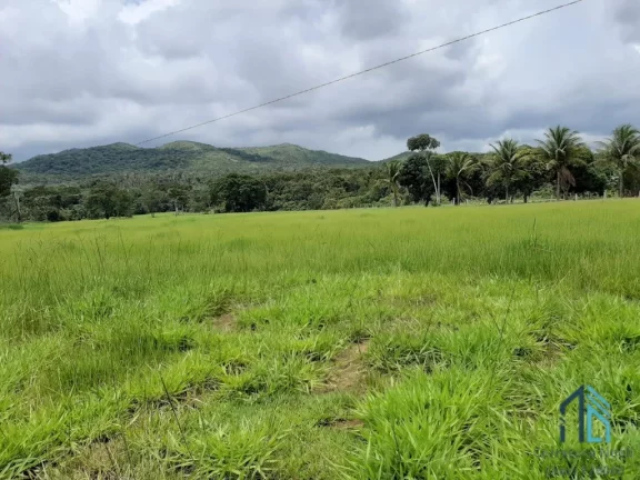 Imagem Fazenda linda 39 alqueires, com casa peão e casa sede, Município de Mossamedes GO