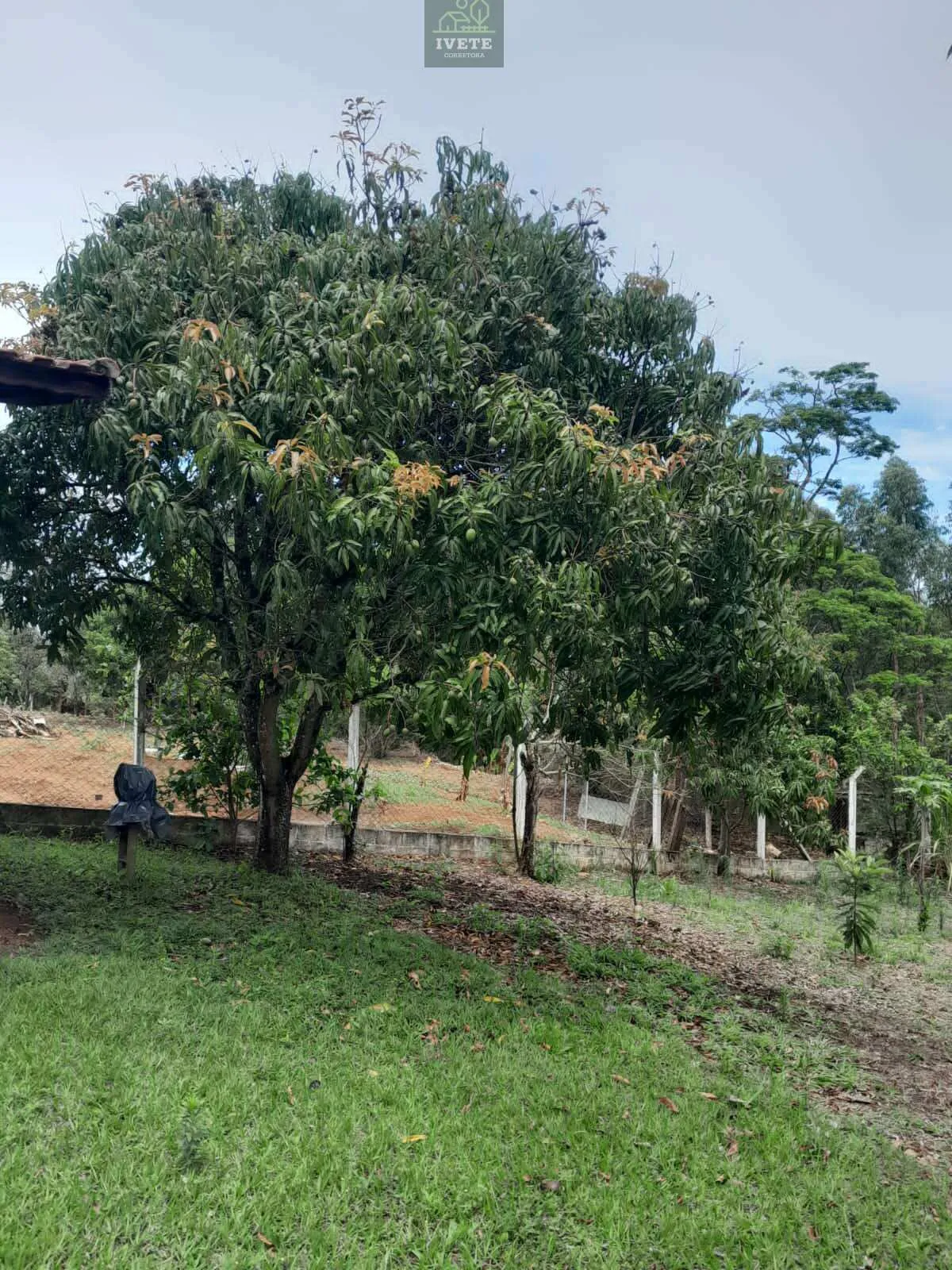 Imagem Chácara à Venda em Pinhalzinho/SP