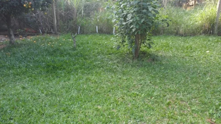 Imagem Sítio com 600m², Casa 60m², em Condomínio fechado, Águas Claras, Viamão