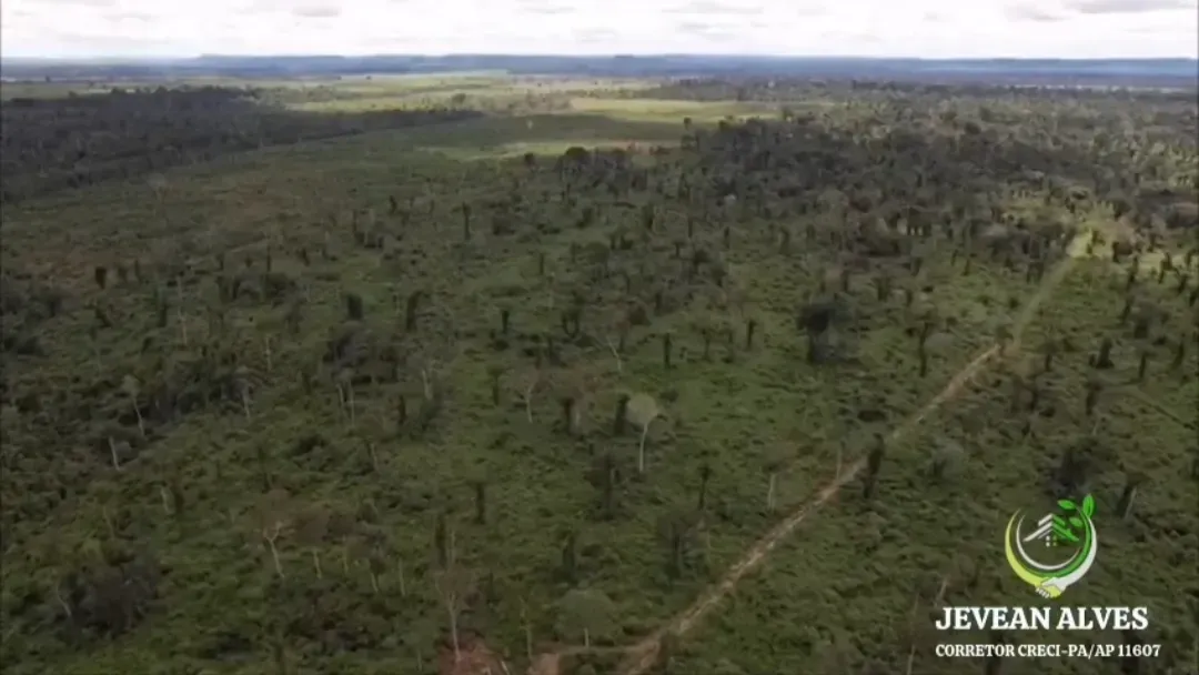 Imagem Fazenda à Venda, 1.476 HA em São Félix do Xingu - São Félix do Xingu