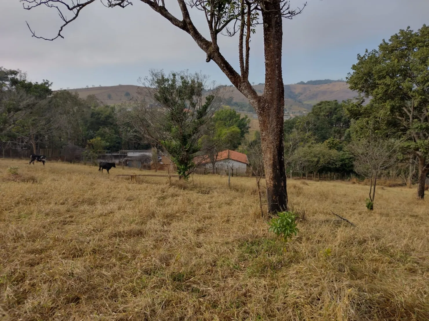 Imagem Terreno à venda 20540M², Barreiro, Taubaté - SP