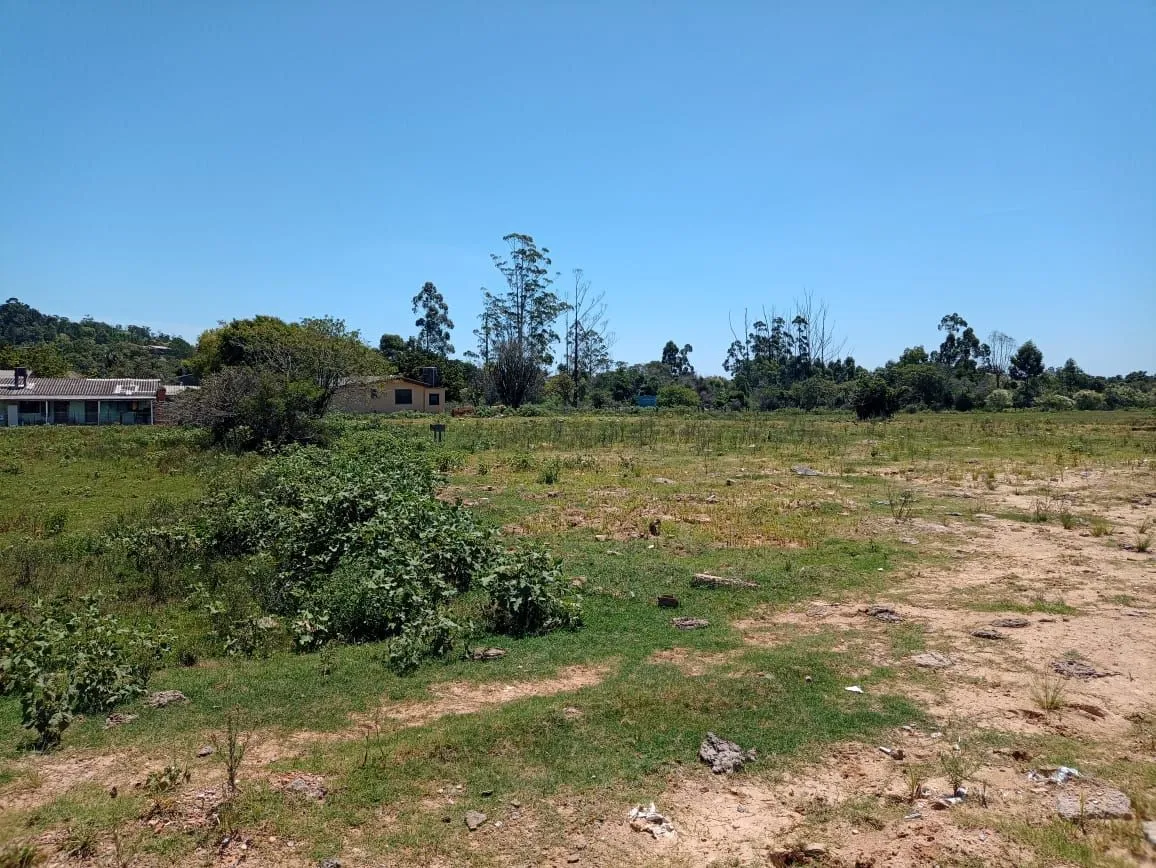 Imagem Terreno para sitio ou construção de condominio - Ponta Grossa