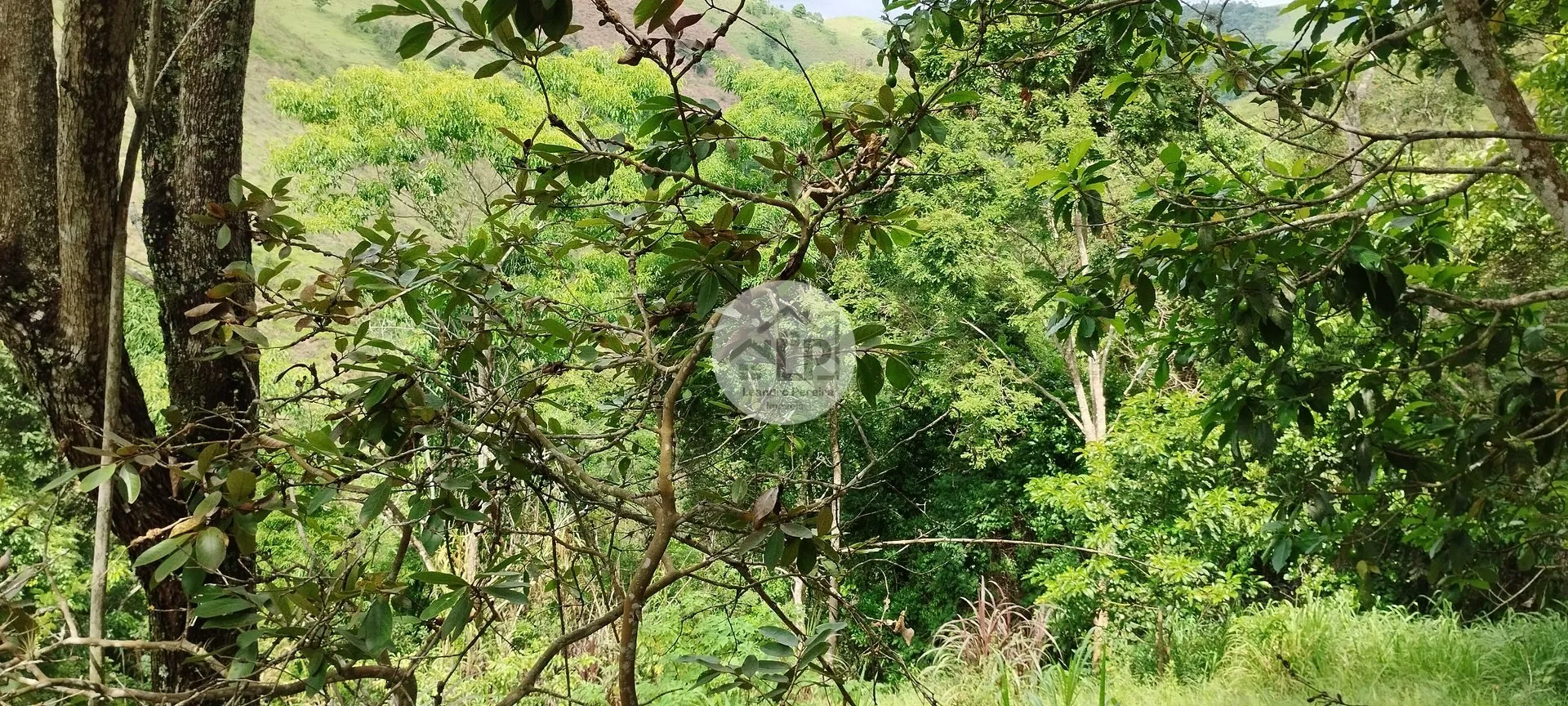 Imagem Chácara de 2.475 m² no bairro Graminha- Rio Claro, RJ