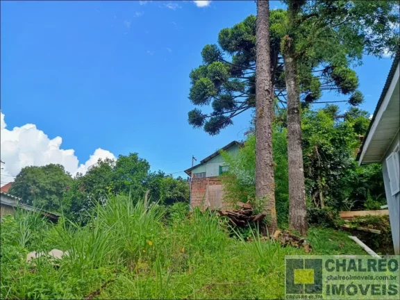 Imagem CASA RESIDENCIAL em Gramado - RS, Dutra