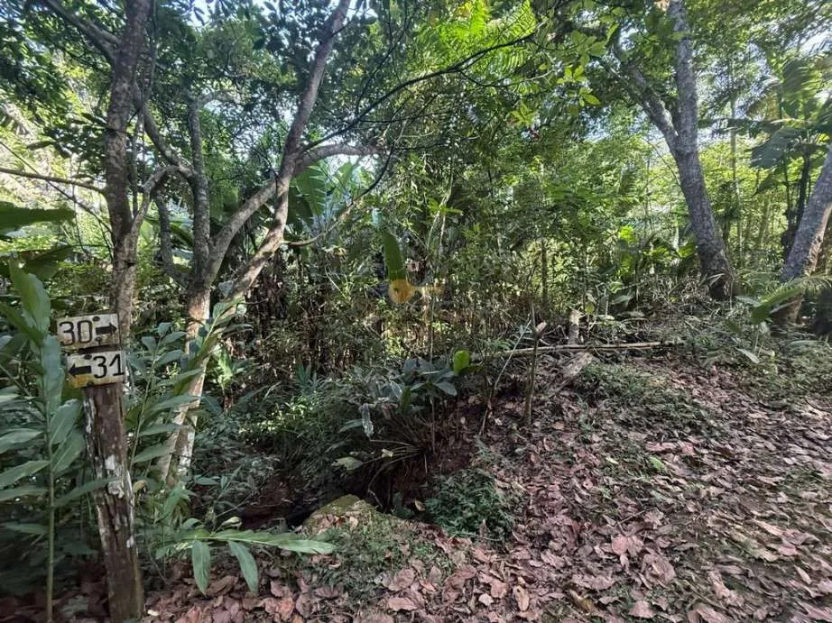 Imagem Terreno em Condomínio para Venda em Teresópolis / RJ no bairro Albuquerque