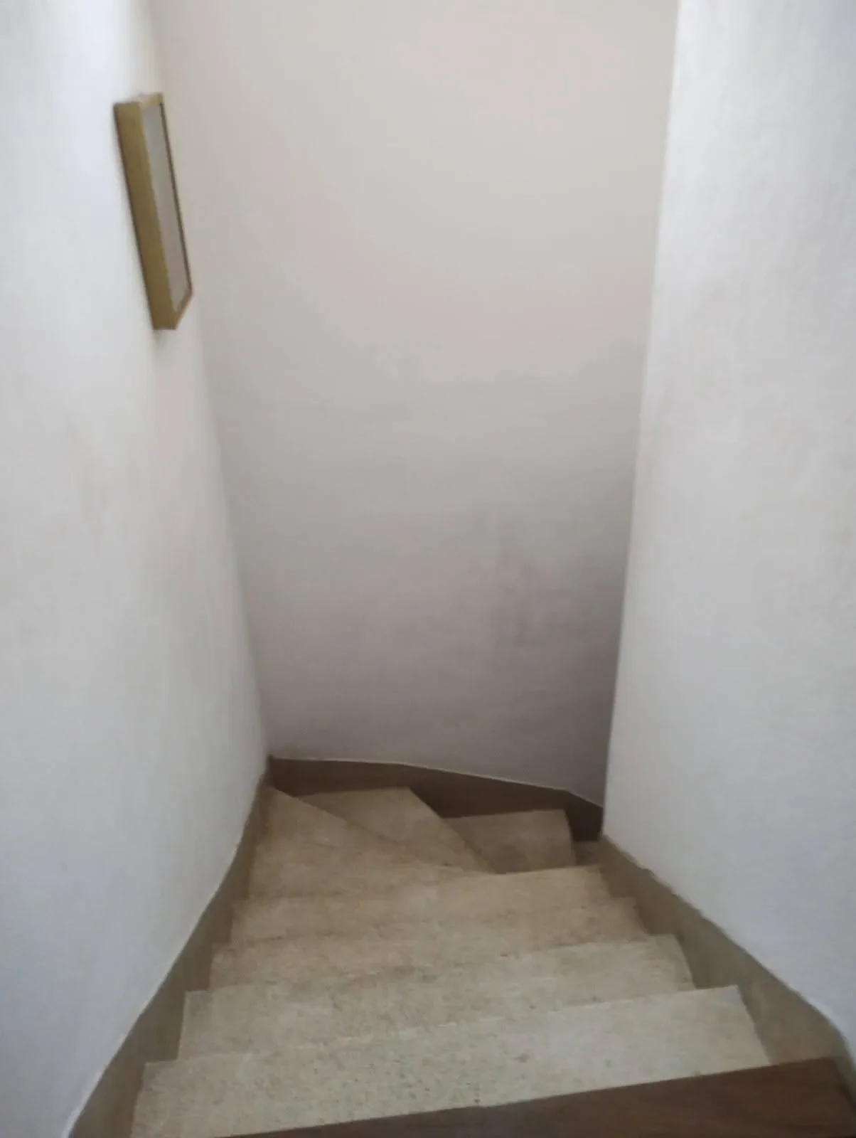 Imagem Sobrado com 3 Quartos à Venda, 125 m² em Vila Indiana - Taboão da Serra