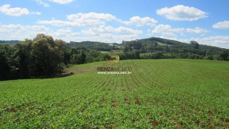 Imagem Área para Loteamento para Venda em Concórdia, São Cristóvão