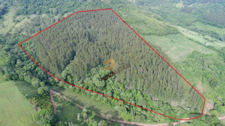 Foto do imóvel Terreno para Venda em Concórdia, Planalto em Lageadinho Planalto