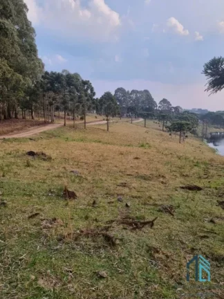 Imagem Sítio/Chácara a venda com 33 hectares bem localizado no interior de São Joaquim - SC