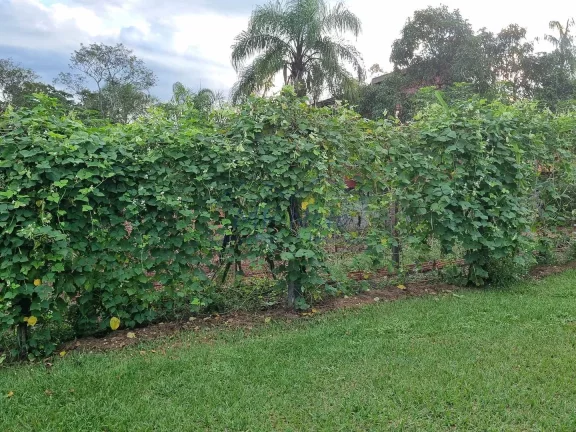 Imagem Chácara à venda localizada em Vertentes do Mamonal, contando com uma ampla área de terreno que se...