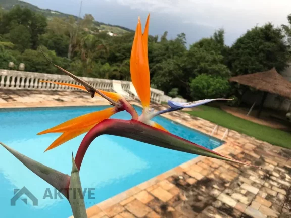 Imagem Casa de Condomínio em Portal - Santana de Parnaíba