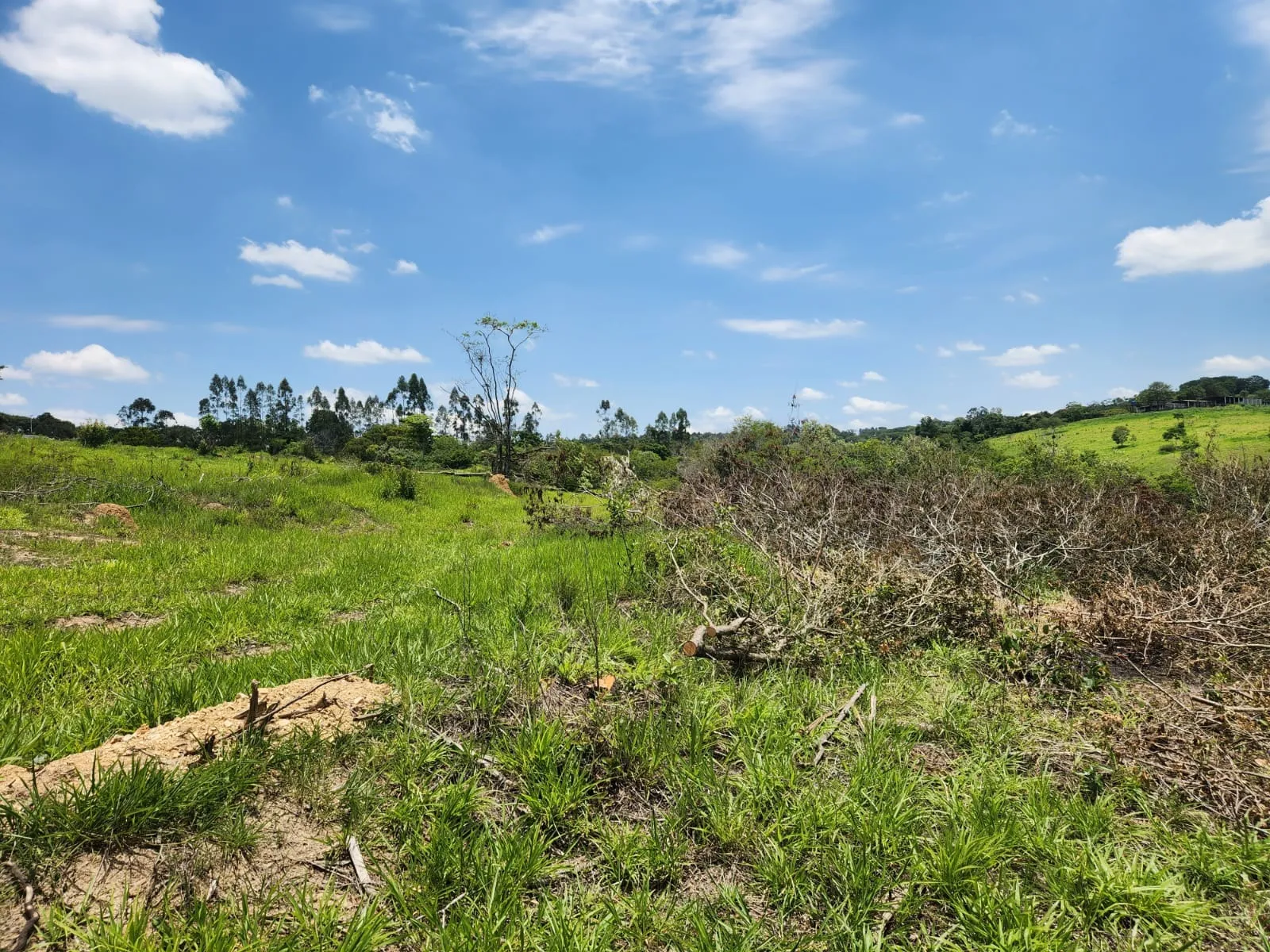 Imagem Terreno em loteamento em Araçoiaba