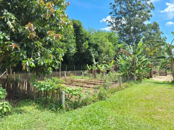 Imagem OPORTUNIDADE!!! Sítio 7.500m², Casa de madeira, Galpão, Pomar, Morro Grande