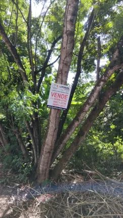 Imagem TERRENO 3 COQUEIROS - OPORTUNIDADE
