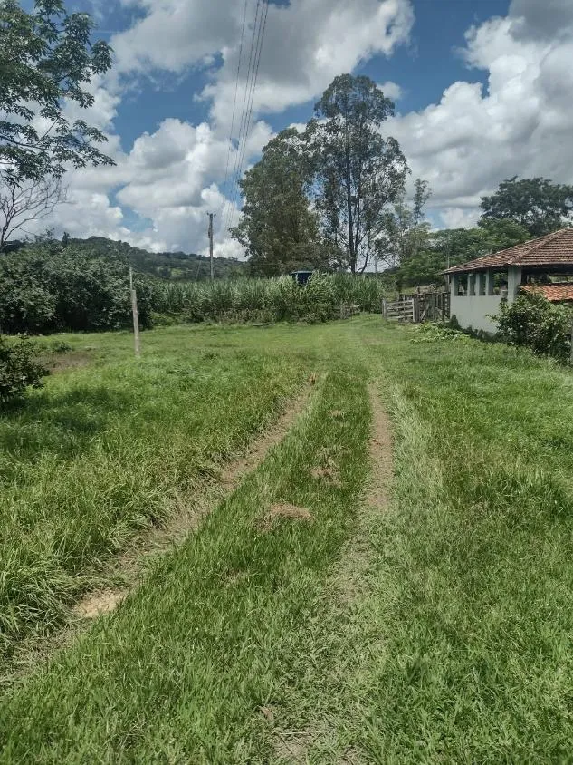 Imagem Vendo lindo sítio/fazendinha com 27 hectares de terra, localizado próximo a Florestal/MG.