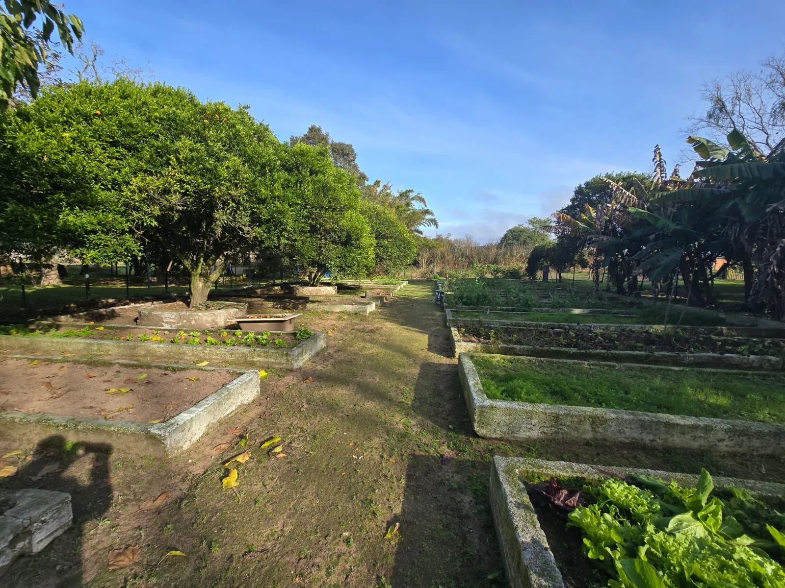 Imagem Sitio na Restinga com 2 casas e ótima oportunidade para investimento