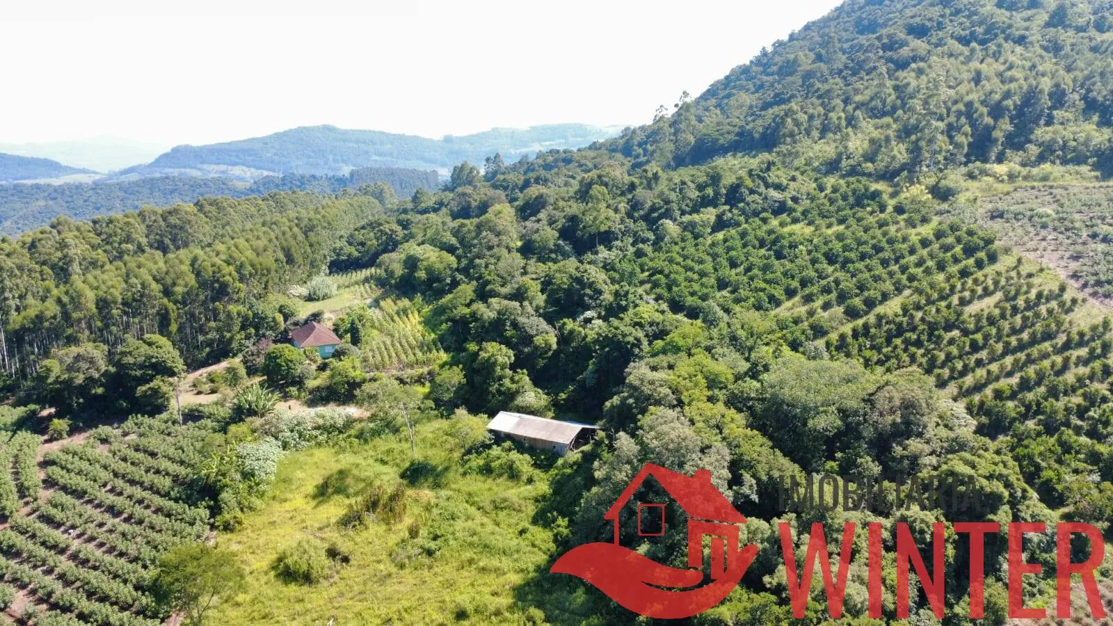 Imagem Área de 85.461,00m² com saibro em Arroio Bonito, São José do Hortêncio.