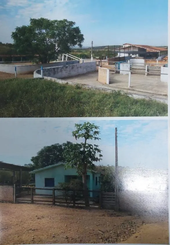 Imagem FAZENDA À VENDA - MORRO DA GARÇA (MG) 208 hectares de área total,