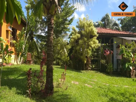 Imagem SITIO EM BARRA DE POJUCA