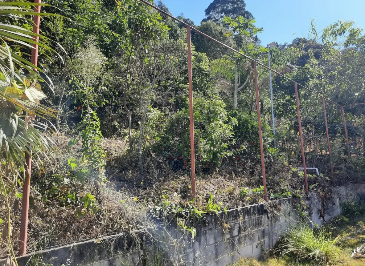 Imagem Chácara 213 m² à venda em Eldorado, Caldas