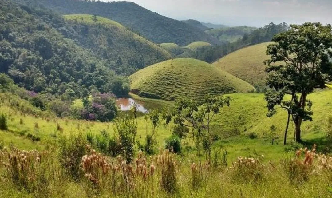 Imagem Chácara à venda 3 Quartos, 1 Suite, 2008600M², Zona Rural, Caçapava - SP