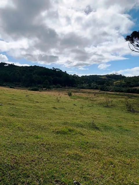 Imagem Chácara à venda 20000M², Aparição, Cunha - SP