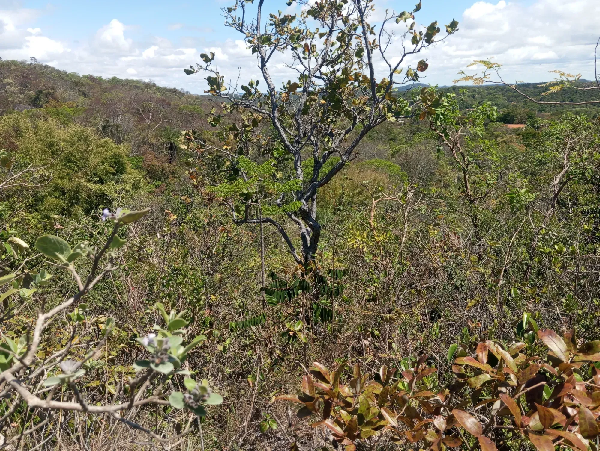 Imagem Chácara com 2 Quartos à Venda, 34.000 m² em Ravena - Sabará
