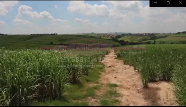 Imagem Área de terreno com 124.520m2 à 450 metros da Rodovia Castello Branco
