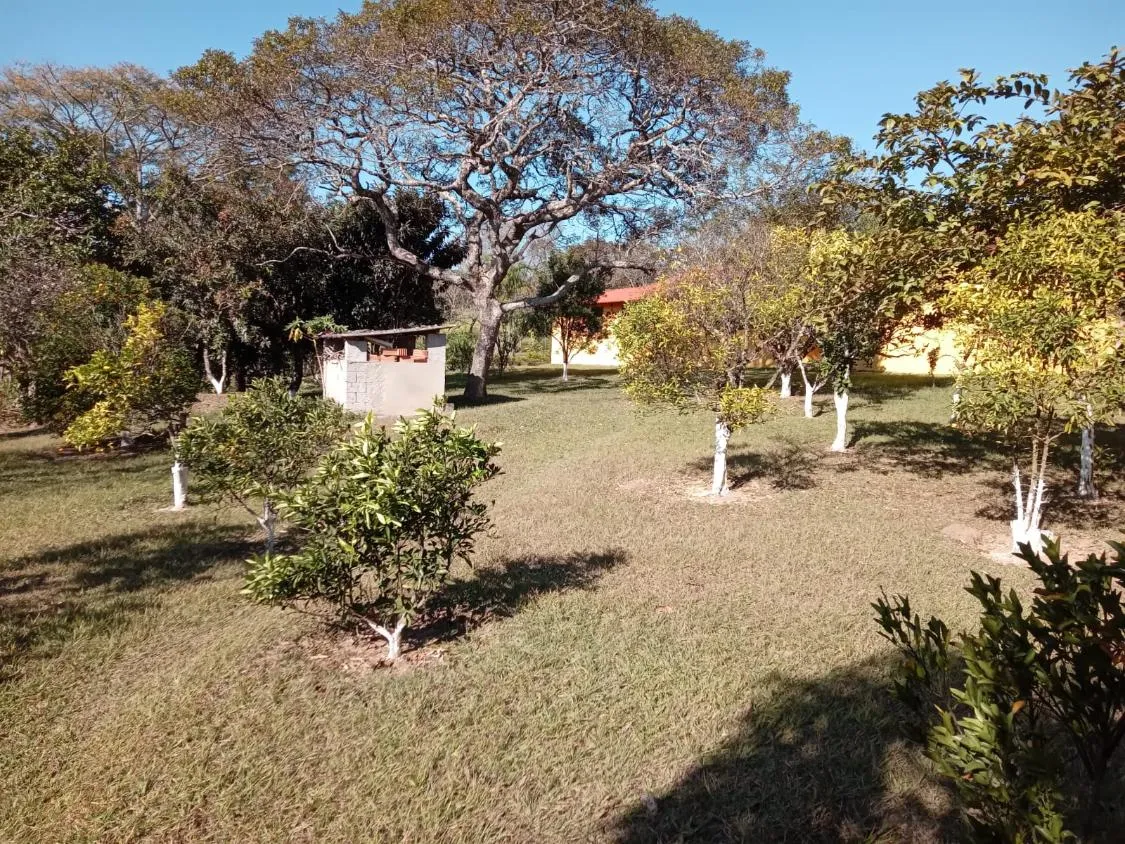 Imagem Vendo um excelente sítio na cidade de Piracema/Mg com 5 hectares de terra