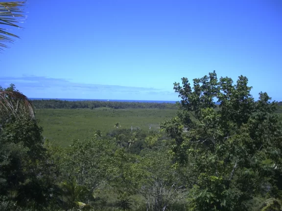 Imagem Ilha São Jerônimo