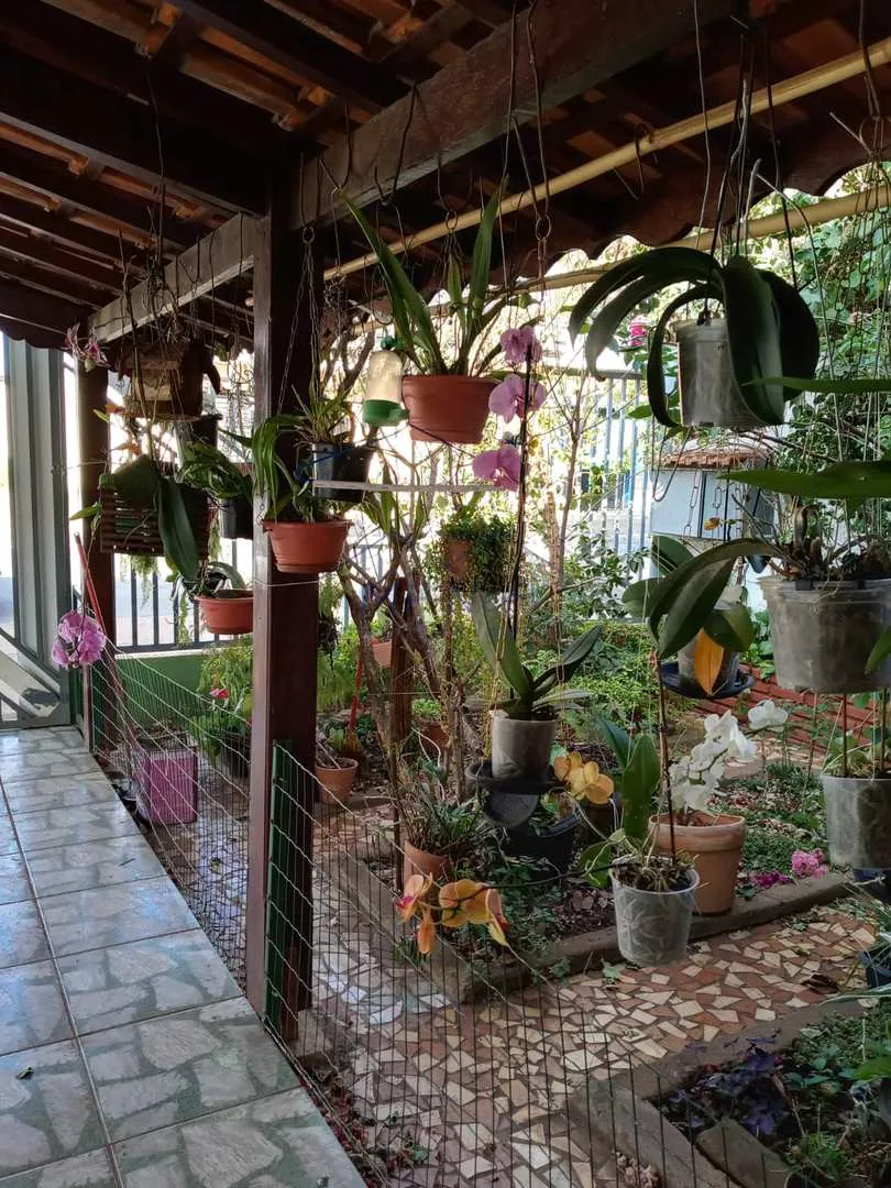 Imagem Casa Padrão