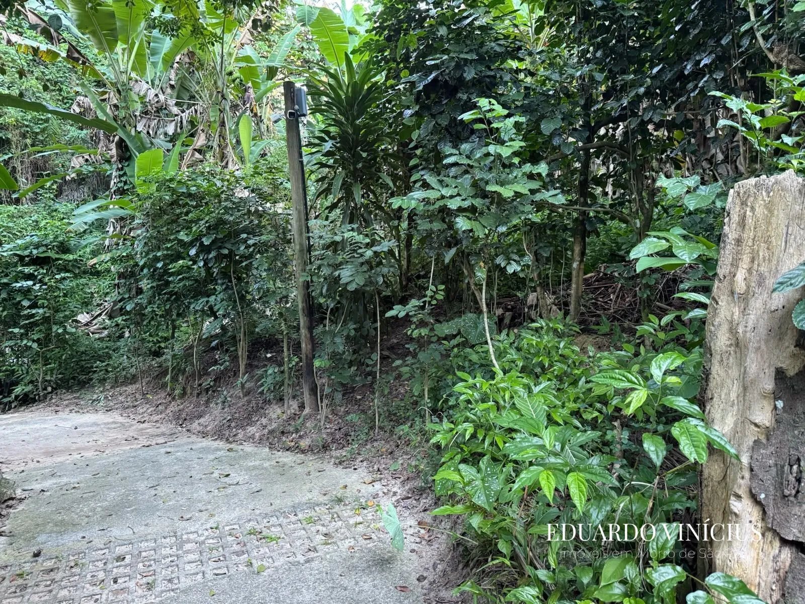 Vista Bela - Terreno com 560m² À Venda no Condomínio Vista Bela em Rua da Biquinha, 22 - Morro de São Paulo, Cairu - BA