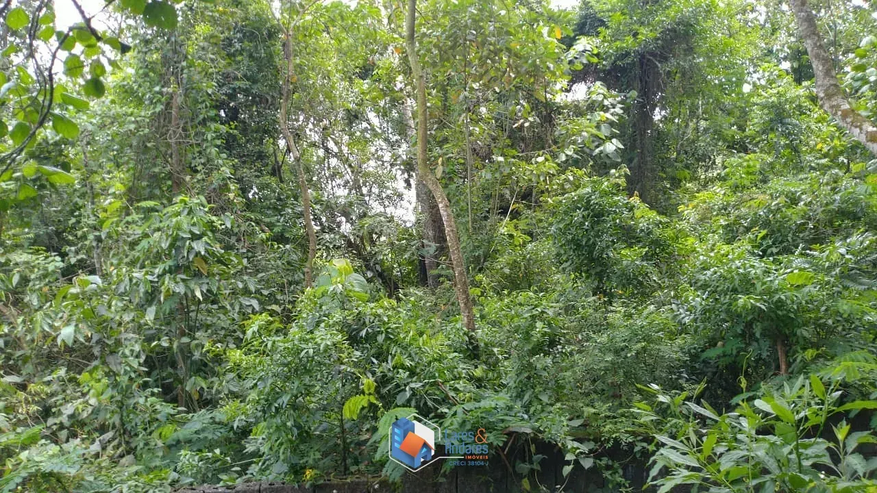 Imagem Terreno à venda, 550m², 525m² e 487,50m² - 3 lotes de 1562m² no total - Vendidos juntos, lote cercado com acesso rua terra. Mantiqueira, Mairiporã.