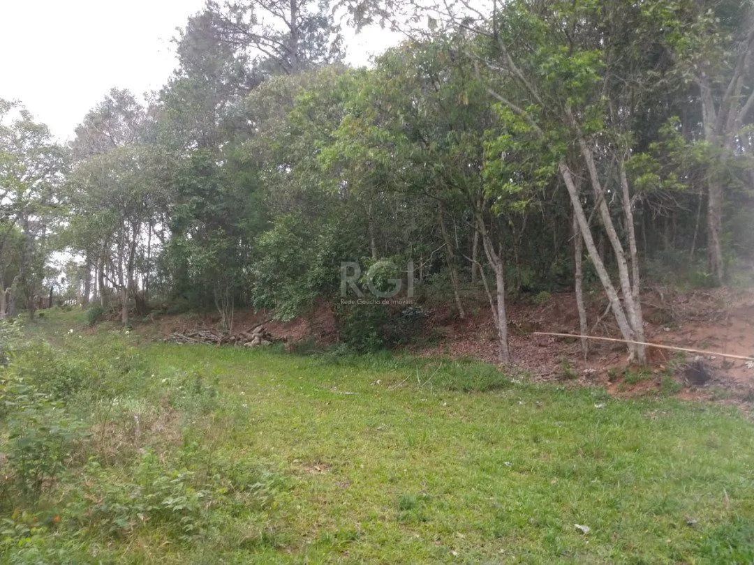 Imagem Área para Venda - 11,39ha, bairro Belém Velho