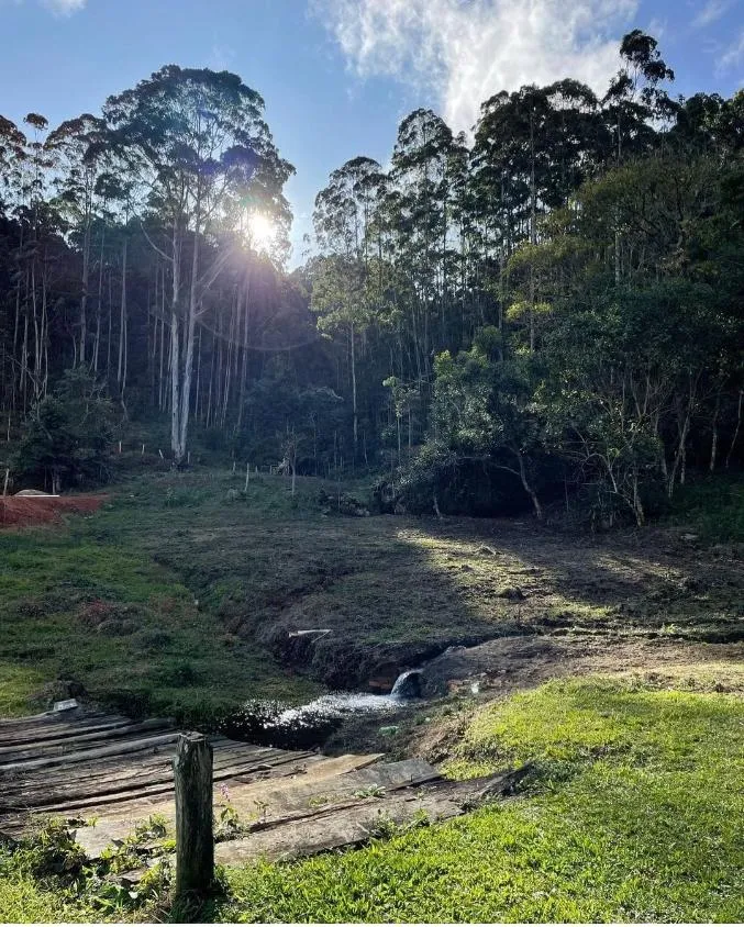 Imagem Fazenda em Joanópolis - R$ 2.000.000,00 - 40 Alqueires e 3 Fontes de Água!