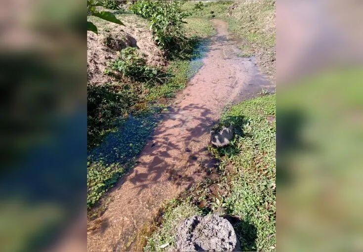 Imagem Paraíso Rural na RMC: Descubra as Maravilhas Deste Imóvel Rural de 5 Alqueires em Cosmópolis!
