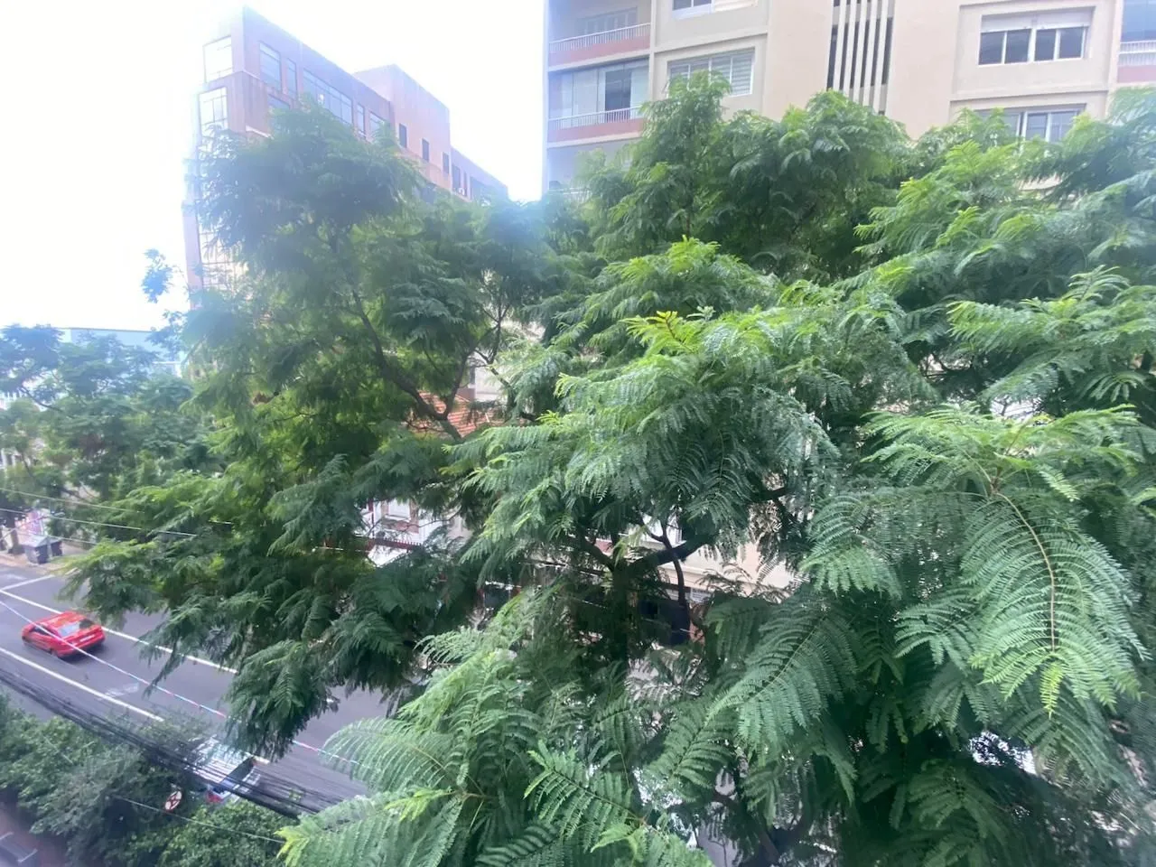 Imagem Apartamento a venda 3 dormitórios próximo Av. Independência