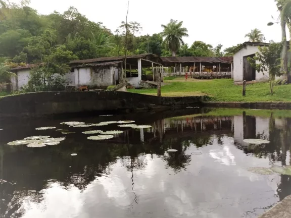 Imagem Chácara Condomínio para Venda em Camaragibe, Aldeia dos Camarás, 4 dormitórios, 2 suítes, 4 banheiros, 5 vagas