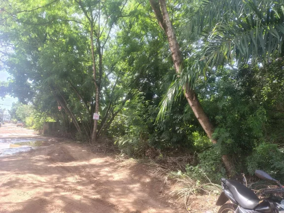 Imagem TERRENO 3 COQUEIROS - OPORTUNIDADE