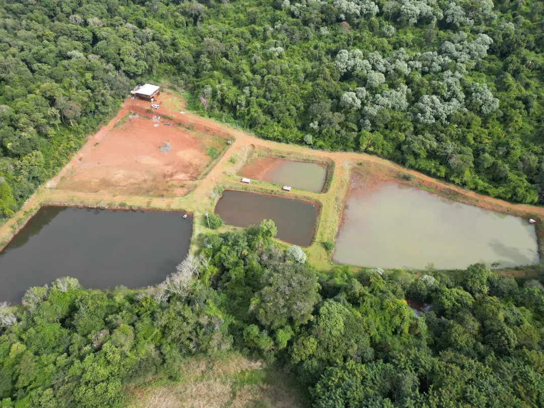 Imagem Chácara à venda em Cascavel, Centro - Casa de caseiro, Rio e Lago para pesca