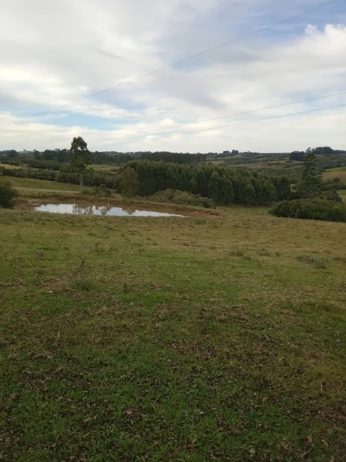 Imagem Sítio para Venda em Canguçu, zona rural, 3 dormitórios, 1 banheiro, 3 vagas