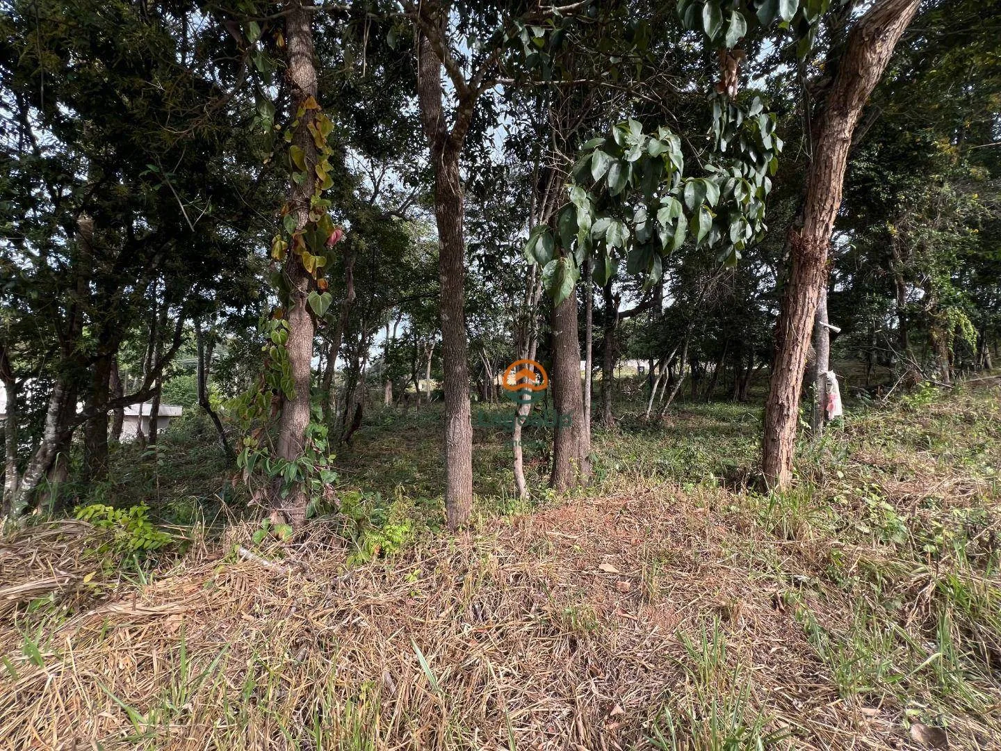 Imagem Terreno à venda, 1000 m² por R$ 280.000 - Condomínio Versailles Ville de France - Lagoa Santa/MG