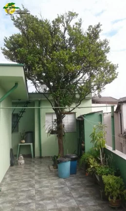 Imagem ÓTIMO IMÓVEL EM SANTA TERESINHA