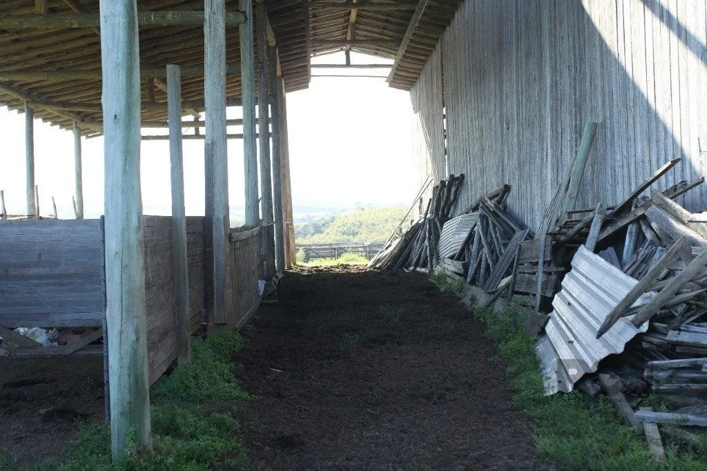 Imagem Terreno em Padre Elly