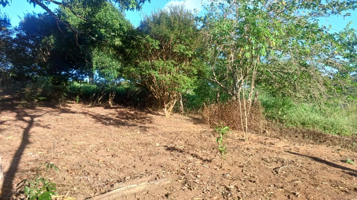 Imagem FAZENDA À VENDA - OLIVEIRA (MG) 107 hectares de terra
