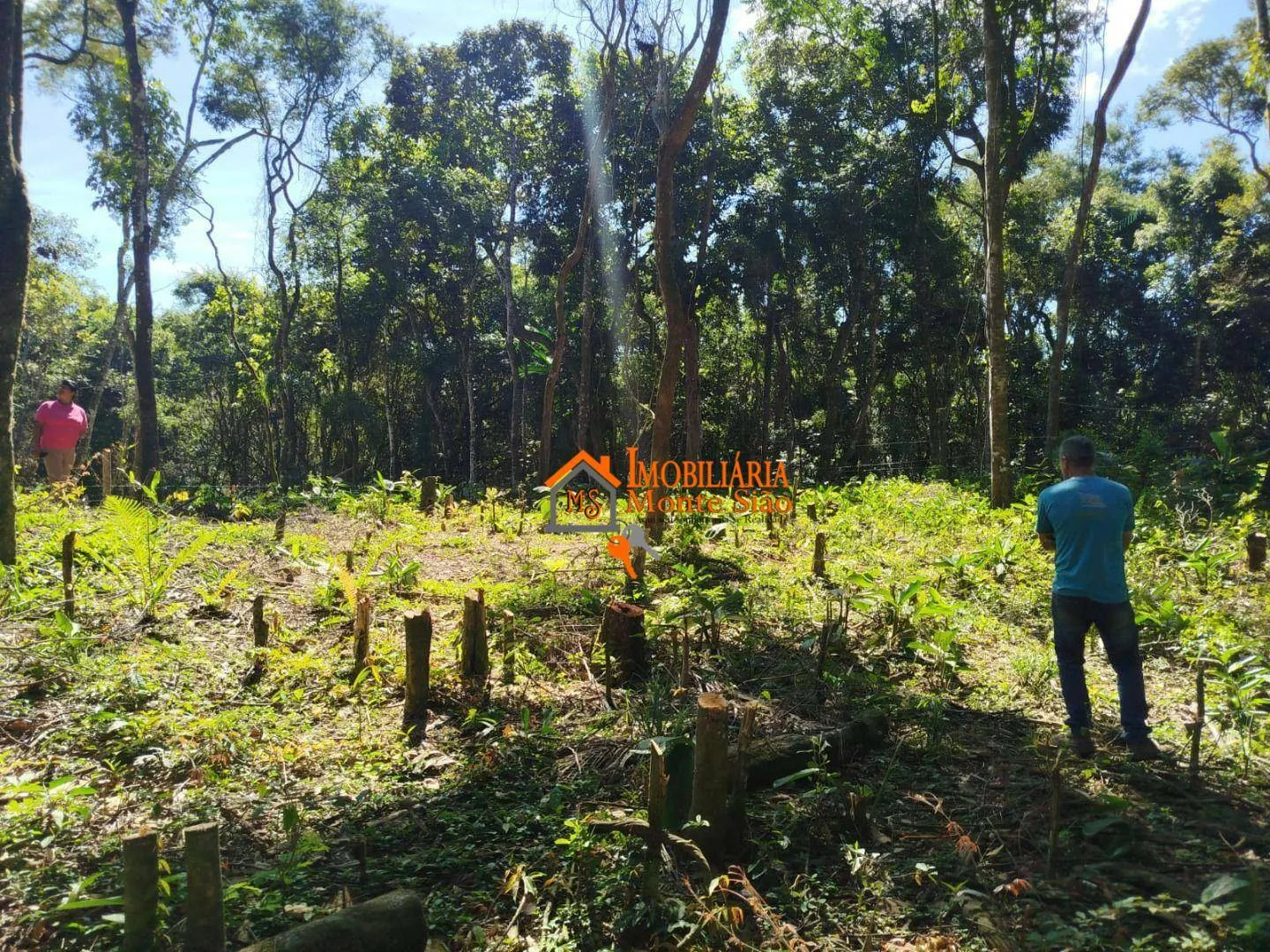 Imagem Terreno à venda, 3.068m² por R$ 212.000 - Parque Santos Dumont - Guarulhos/SP