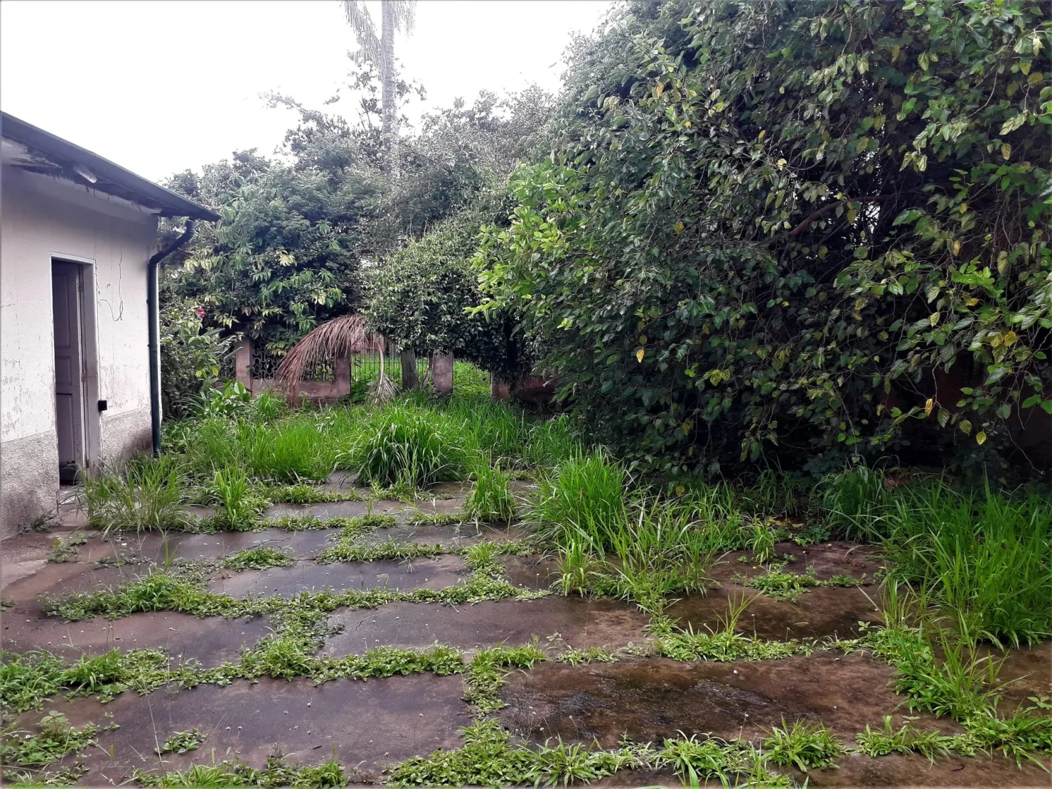 Imagem Casa à venda 4 Quartos, 1 Vaga, 1000M², Centro, Taubaté - SP