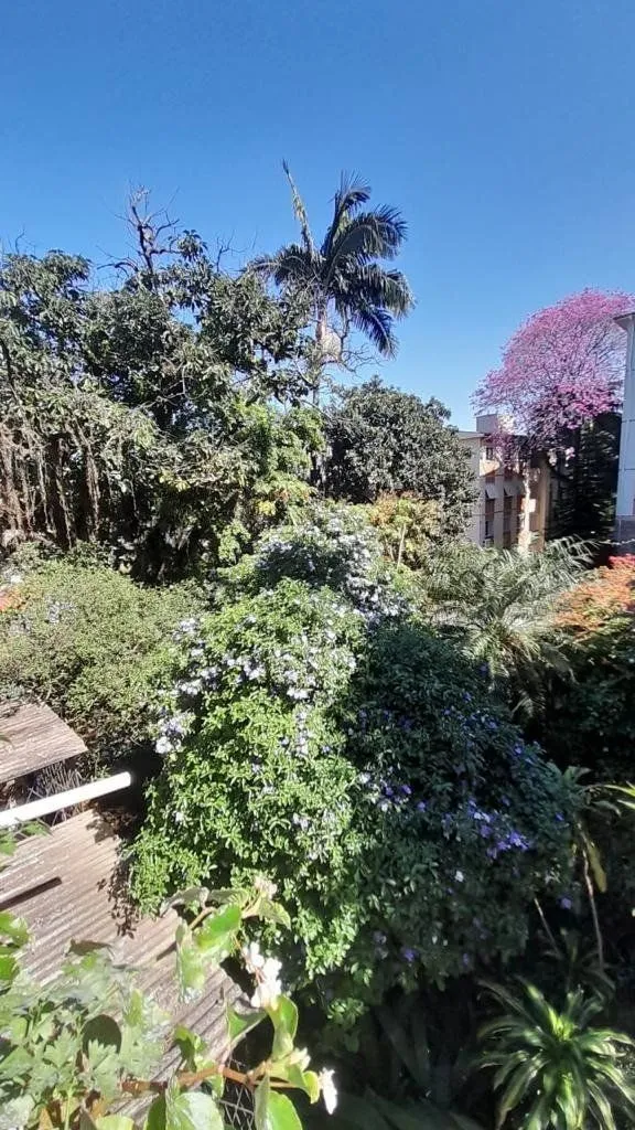 Imagem Terreno para Comprar na Santa Cecília no bairro Rio Branco.