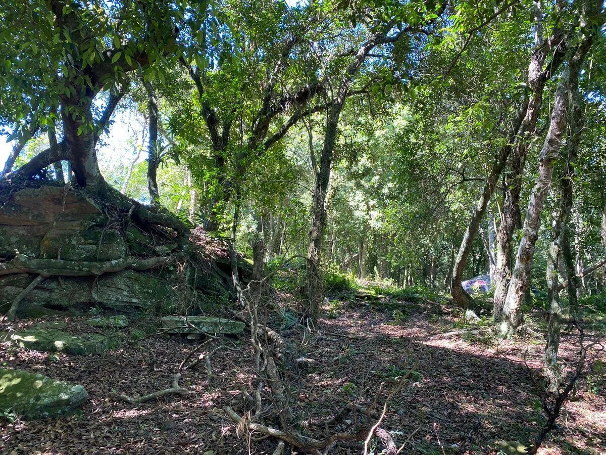 Imagem Chácara para venda , localizado em São João do Deserto, Lomba Grande em Novo Hamburgo/RS.